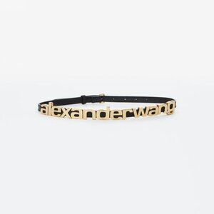 COPY - ALEXANDER WANG logo belt Wide Zipper Belt in Crinkle Leather in BLACK/SILVER  main image 3